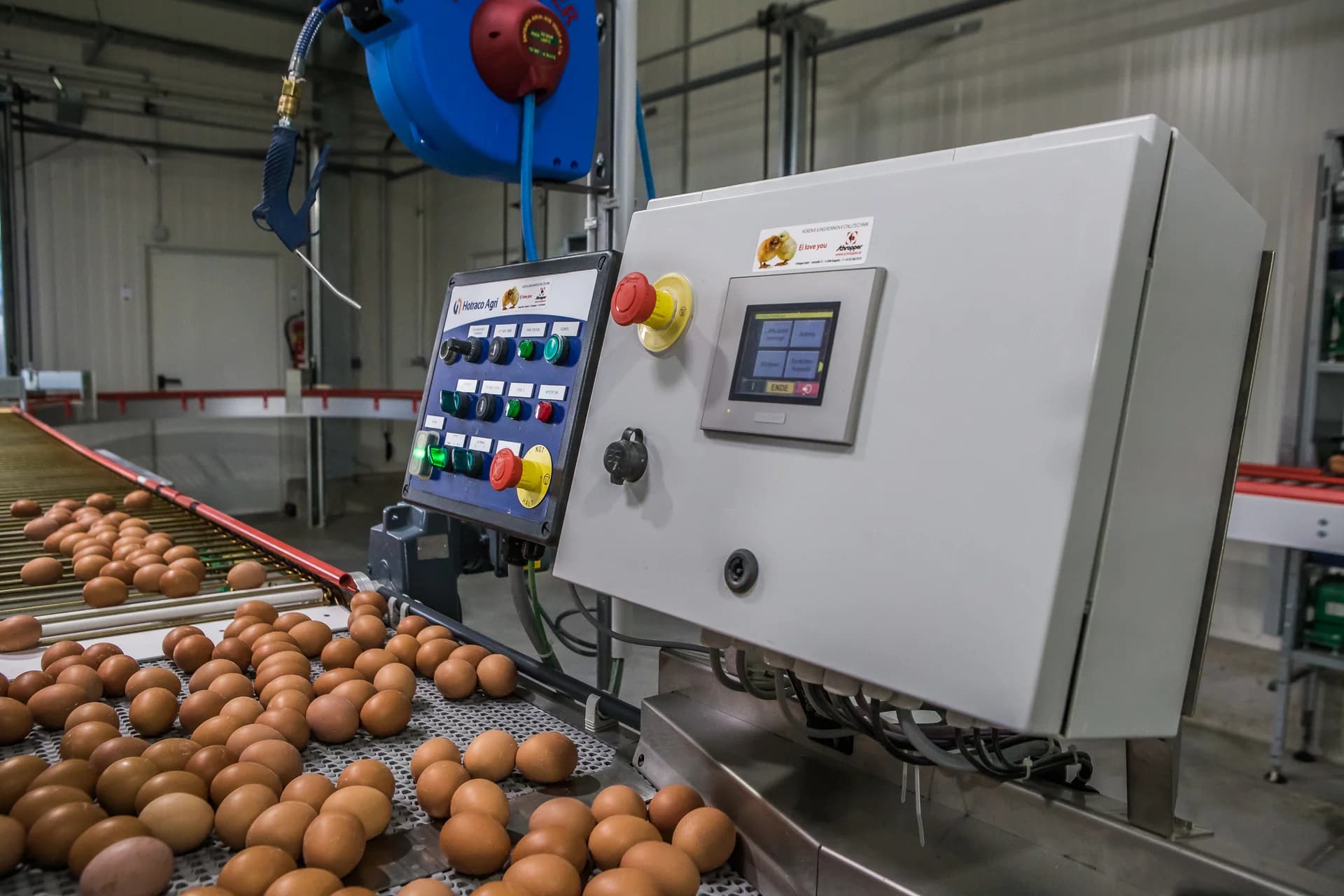 Elterntiere, Hähne, Hennen, Bruteier, Brüterei, Stalltechnik Auf Elterntierbetrieben werden männliche und weibliche Tiere gemeinsam gehalten. Ziel ist es, befruchtete Eier, so genannte Bruteier, zu produzieren. Dies bringt hohe Managementansprüche an den Tierhalter mit sich. Die Bruteier werden durchleuchtet, sortiert, gekennzeichnet und dann an die Brüterei geliefert. Die Prozesse sind hochtechnisiert.